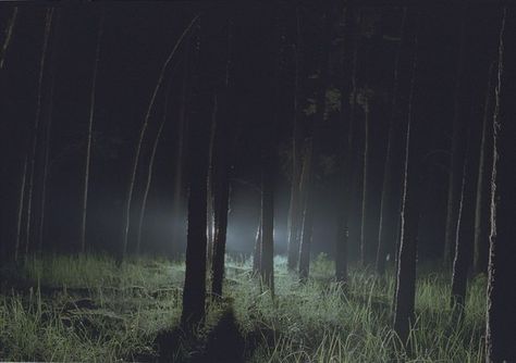 Dangerous Forest Aesthetic, Forest At Night, John Wilson, Between Two Worlds, Last Ride, Stranger Things Aesthetic, Southern Gothic, The Fog, Sam Winchester