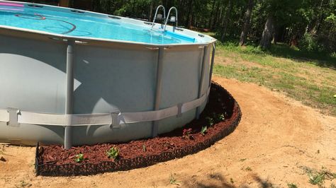 Flower bed around an above ground pool. Next step is to add sod where the sand is. Above Ground Pools, Diy Swimming Pool, Ground Pools, Pool Ideas, Above Ground Pool, Flower Bed, Next Step, Flower Images, The Sand