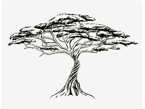 African Tree, Line Art Flowers, Tree Drawings Pencil, Tree Tattoo Designs, Acacia Tree, Tree Illustration, Sketch Inspiration, Tree Drawing, Tree Tattoo