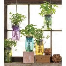 The best devices for growing herbs indoors - Topdust Mason Jar Herb Garden Indoor, Herb Garden Indoor, Jar Herb Garden, Greek Oregano, Herb Garden Ideas, Mason Jar Herbs, Mason Jar Herb Garden, Backyard Aquaponics, Indoor Herb