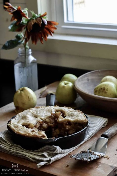 Rocky Hedge Farm Skillet Apple Pie Recipe | Learn how to make a delicious homemade apple pie with the best filling using this step by step recipe. Baked in a cast iron skillet this will have you remembering the pie that your grandma made.  | #castironrecipes #applepie Cast Iron Skillet Apple Pie, Iron Skillet Apple Pie, Skillet Apple Pie, Pie Crust Top, Apple Pie Filling Recipes, Homemade Apple Pie, Pie Filling Recipes, Apple Pie Recipe, Cast Iron Recipes