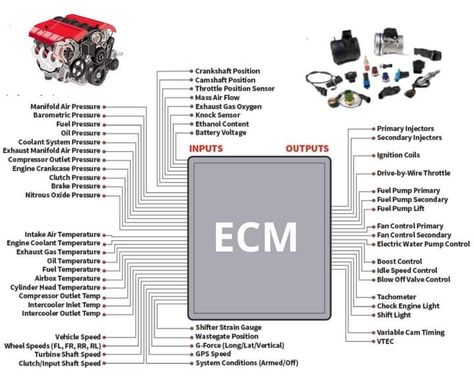 Electrical Wiring Colours, Mechanic Engineering, Brochure Design Layouts, Honda Vtec, Profile Dark, Car Ecu, Car Facts, Electronic Control Unit, Electrical Circuit Diagram