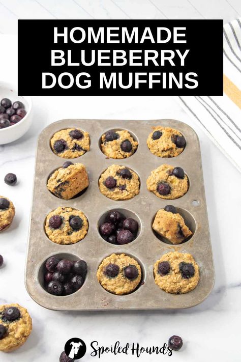 Homemade Blueberry Dog Muffins made with fresh blueberries, banana, applesauce, and oat flour. Get the easy recipe and find out how to make the best blueberry muffins for dogs. Muffins For Dogs, Dog Muffins, Easy Dog Treat Recipes, Best Blueberry Muffins, Easy Dog Treats, Healthy Dog Treats Homemade, Dog Treats Homemade Recipes, Homemade Muffins, Healthy Dog Food Recipes