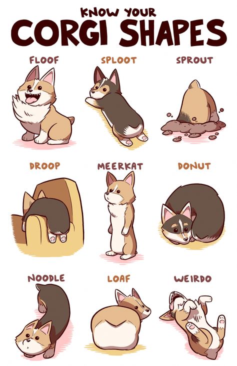 Playfull Corgi  Health #pembrokewelshcorgi #corgibutt pembrokewelshcorgi #CorgiPuppies Welsh Corgi Pembroke, Corgi Facts, Corgi Drawing, Cute Corgi Puppy, Pembroke Welsh Corgi Puppies, Corgi Art, Corgi Pictures, Welsh Corgi Puppies, Corgi Funny