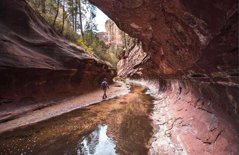 West Fork Oak Creek Trail, Sedona AZ (From Sedona drive north 10 miles on AZ-89A S/N State Rte 89A to about halfway between milepost 385 and 384. The trailhead is on the west side of the highway down a paved lane that leads behind a few creek side houses. The best place to park is at the Call O' The Canyon day area about a quarter mile north of the trailhead.) Arizona Waterfalls, Hikes Near Denver, Sedona Hikes, Oak Creek Canyon, Usa Summer, Arizona Map, Arizona Hiking, Waterfall Hikes, Thru Hiking