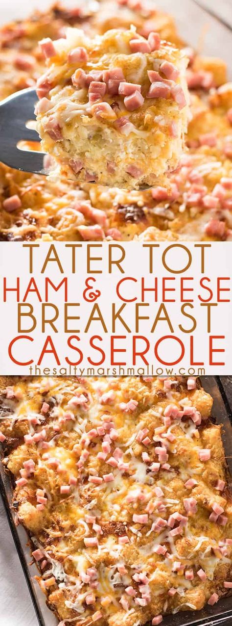 Tater Tot Ham and Cheese Breakfast Casserole - The Salty Marshmallow Breakfast Casserole With Ham, Ham And Cheese Breakfast Casserole, Cabin Recipes, Casserole With Ham, Ham And Cheese Breakfast, Ham Breakfast Casserole, Breakfast Potluck, Church Recipes, Tot Breakfast Casserole