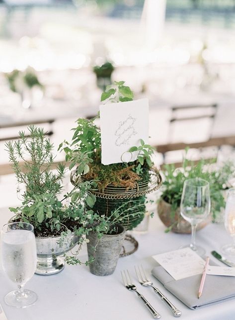 The Most Beautiful Bouquet You’ve Ever Seen: An Outdoor North Carolina Wedding to Swoon Over Herbal Wedding, Southern Backyard, Cheap Wedding Table Centerpieces, Herb Wedding, Plant Centerpieces, Expensive Flowers, Event Planning Tips, Unique Wedding Flowers, Flower Centerpieces Wedding