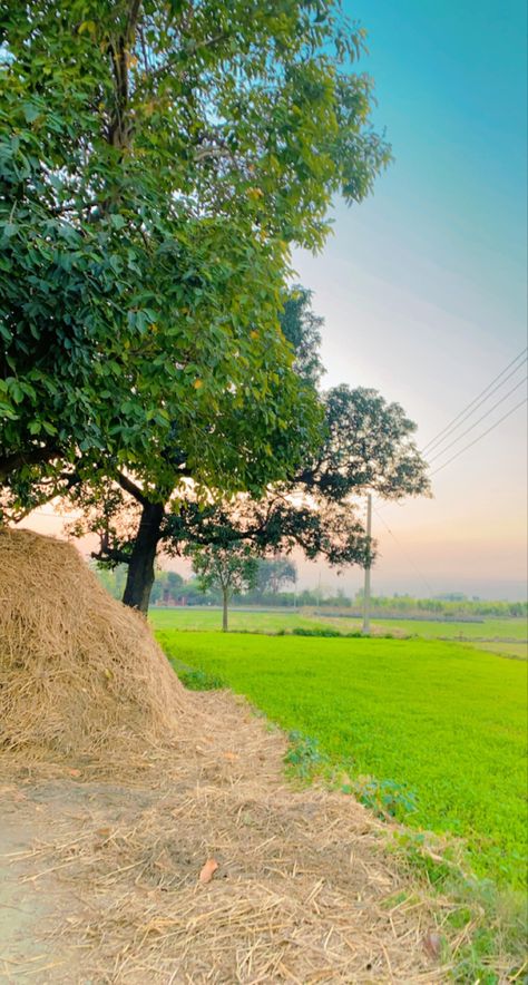 Village Morning Snapchat, Natural Village Pic, Morning View Snapchat, Village Snapchat Story, Village Snap, Village Pic, Punjab Village, Agriculture Pictures, Morning Snap