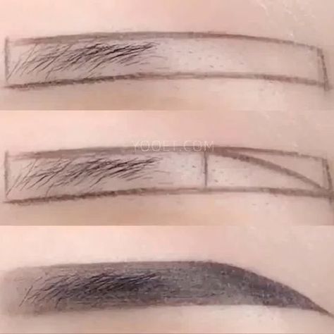 Eyebrow Makeup Techniques, Straight Eyebrows, Membentuk Alis, Eyebrow Styles, Eyebrow Shapes, Makeup Brows, Eyebrow Makeup Tutorial, Round Face Makeup, Doll Eye Makeup