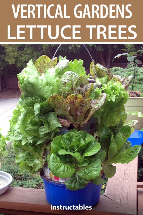 Growing more food in less space is what vertical gardening is all about. Lettuce trees are an easy and compact way to have fresh veggies on hand. #Instructables #gardening #outdoors #vegetables #irrigation #planter Lettuce Planters, Planting Lettuce In Containers, Tower Garden Diy, Planting Lettuce, Growing Lettuce, Diy Planter Box, Vertical Planter, Vertical Gardening, Tower Garden