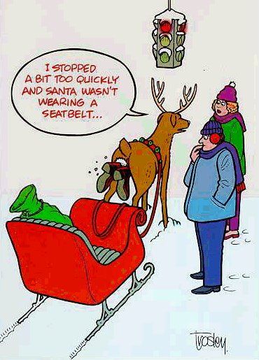 I stopped a bit too quickly and Santa wasn't wearing a seat belt... Funny Christmas Images, Funny Christmas Cartoons, Winter Humor, Funny Christmas Jokes, Funny Christmas Pictures, Christmas Comics, Christmas Jokes, Christmas Memes, Funny Xmas