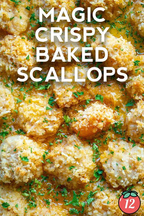 Baked Scallops, Dried Scallops, Coconut Balls, Sea Scallops, Baked Shrimp, White Wine Sauce, 12 Tomatoes, Magic Recipe, Wine Sauce