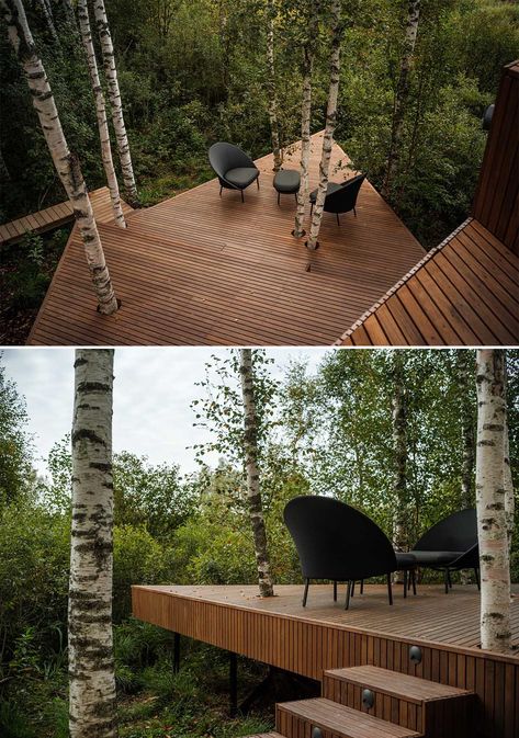 Walls Of Windows On This Cabin Allow For Views Of The Surrounding Forest Backyard Forest Landscape, Forest Patio, Forest Landscape Design, Forest Backyard, Deck Around Trees, Forest Architecture, Wood Deck Designs, Small Modern Cabin, Viewing Deck