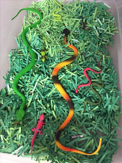 Shredded paper grass, plastic snake sensory bin Reptiles Preschool, Reptiles Activities, Zoo Lessons, Zoo Preschool, Zoo Activities, Snake In The Grass, Infant Classroom, Sensory Crafts, Safari Birthday Party