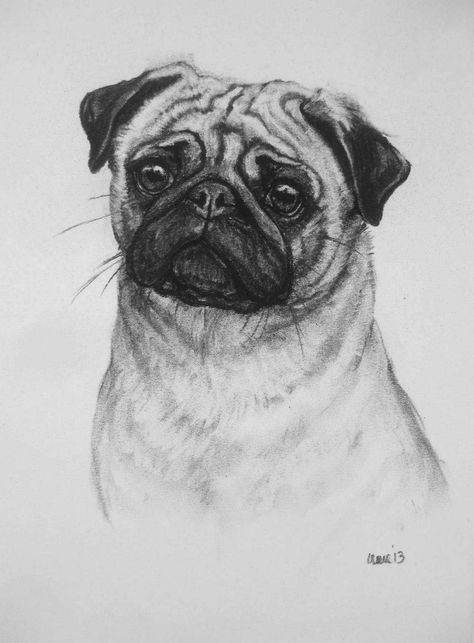 Black And White Pug, Pug Drawing, Pug Artwork, Pug Illustration, Moon Stars Art, Art Charcoals, Old Pug, Charcoal Sketch, Dog Print Art