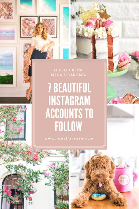 Beautiful Instagram Accounts to Follow featured on Louella Reese Must Follow Instagram Accounts, Accounts To Follow On Instagram, Inspiring Instagram Accounts, Pink Champagne Cake, Bookstagram Ideas, Champagne Cake, Parisian Summer, Writing A Cover Letter, Blogging Inspiration