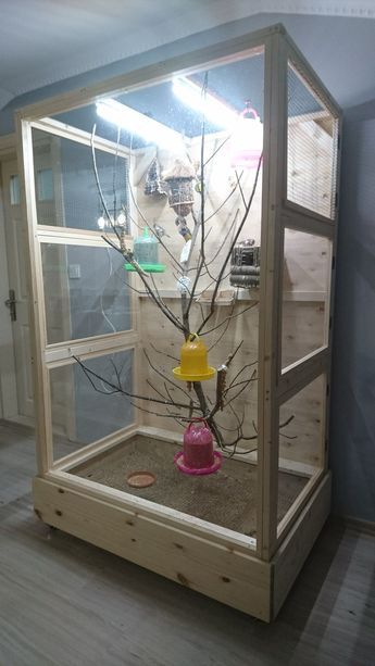 Finch Cage, Diy Bird Cage, Parrot Training, Diy Bird Toys, Parakeet Cage, Small Fish Tanks, Budgies Bird, Large Bird Cages, Fairy Garden Furniture