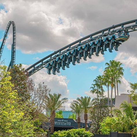 Universal Orlando News™ on Instagram: “Jurassic World VelociCoaster ⁣⁣⁣⁣ ➡️ Créditos: @floridacoasterkings ⁣⁣⁣ ➡️ Siga @universalorlando.news⁣⁣⁣⁣⁣⁣ ⁣⁣⁣⁣⁣⁣ ⁣⁣⁣⁣⁣⁣ ⁣⁣⁣⁣⁣⁣ ⁣⁣⁣⁣⁣⁣…” Velocicoaster Universal, Universal Florida, Scary Roller Coasters, Best Roller Coasters, Dream Holidays, Miss Florida, Planet Coaster, Cedar Point, Universal Orlando Resort