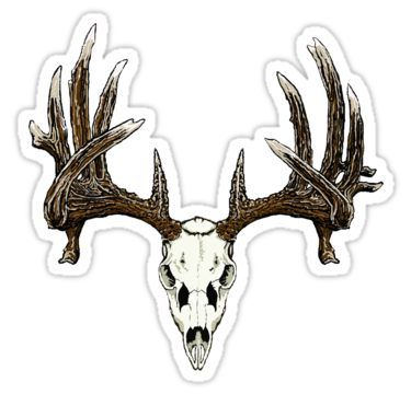 Deer Skull Drawing, Moose Skull, Elk Skull, Deer Mask, Deer Skull Art, Feather Stickers, Hunting Tattoos, Eagle Feather, Whitetail Bucks