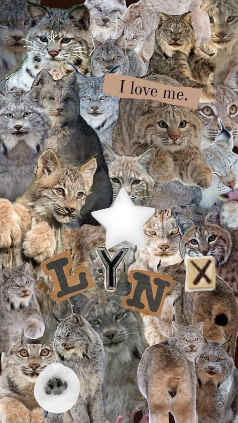 Therian Christmas, Lynx Photography, Lynx Aesthetic, Lynx Wallpaper, Thick Sketchbook, Lynx Mask, Lynx Therian, Therian Wallpaper, Cat Mask Diy