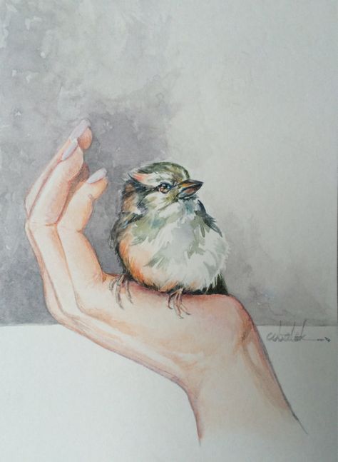 Bird in hand original  watercolor painting by ChristyObalek Bird In Hand Drawing, Watercolor Hand Painting, Bird On Hand, Watercolor Hands, Robin Drawing, Bird In Hand, Watercolor Architecture, Painting Minimalist, Watercolour Inspiration