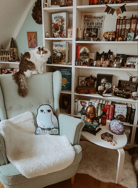 Harry Potter Livingroom, Harry Potter Bookshelf Decor, Harry Potter Astethics Room, Harry Potter Home Library, Displaying Collections On Shelves, Cozy Harry Potter Room, Harry Potter Reading Room, Harry Potter Themed Office, Harry Potter Dorm Room Ideas