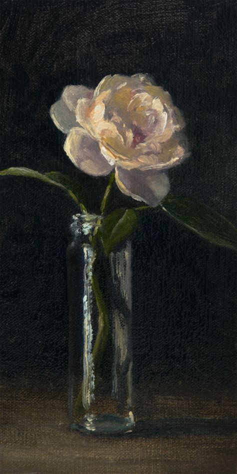 Elizabeth Floyd, Litchfield Angel Rose, 8 x 4 inches Painting Roses, Painting Workshop, Flowers Art, Rose Painting, Artist On Instagram, Art Reference Photos, Drawing Inspiration, Floral Art, White Flowers