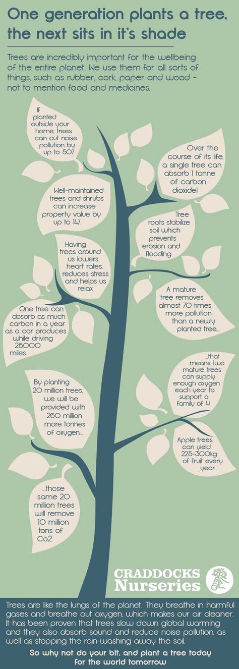 Tree Infographic Design, Tree Mind Map, Environment Infographic, Tree Infographic, Peta Pikiran, What Is An Infographic, Peta Konsep, Concept Maps, Disney Art Style