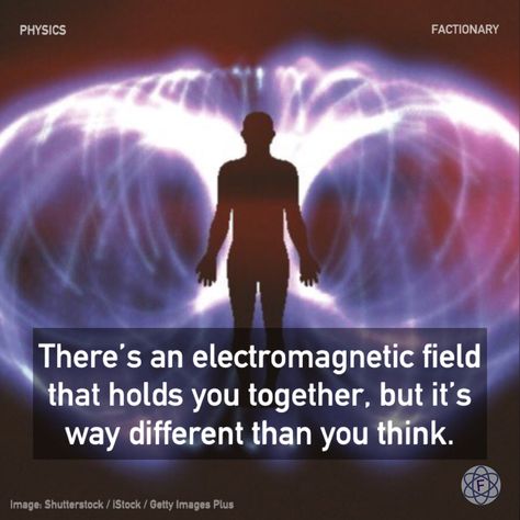 Pauli Exclusion Principle, Morphogenetic Field, Particles Of Matter, Physics Lessons, Earth's Magnetic Field, Electromagnetic Field, Electric Field, Quantum Physics, Human Soul