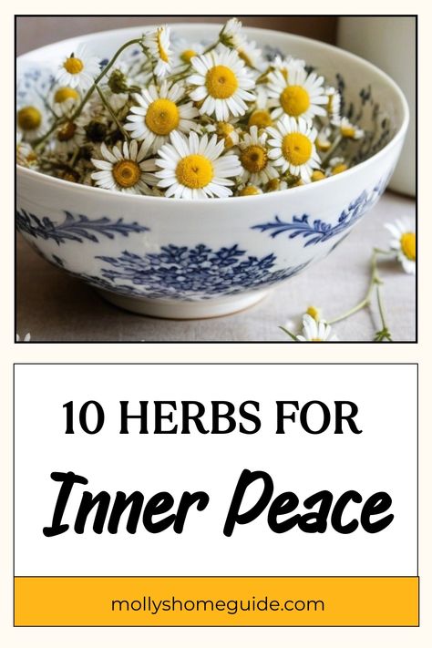 Herbs For Communication, Herbs For Peace, Medicinal Herb Garden, Herb Garden Ideas, Heal Thyself, Garden At Home, Medicinal Herbs Garden, Herbs Garden, Healing Garden