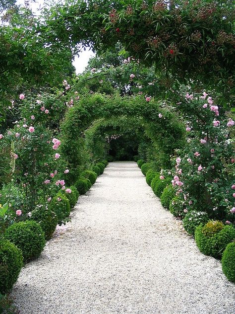 Bush Sculptures, Garden Arbours, Exterior Landscaping, Garden Pathways, Rose Arbor, Pretty Cottage, Gardens Of The World, Garden Arbor, Garden Arches