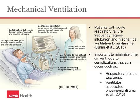 mechanical ventilation | Respiratory Failure: Individual Patient Case Study - ppt ... Nutrition Background, Nutrition Assessment, Acute Respiratory Distress, Monitoring And Evaluation, Acute Respiratory Failure, Respiratory Failure, Medical Management, Community Health Nursing, Nurse Manager