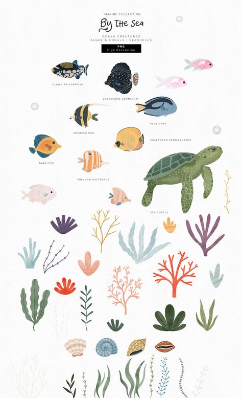 Sea Illustration Art, Fish Nursery, Sea Creatures Drawing, Sea Illustration, Shape Collage, Contemporary Designs, Surf Art, Ocean Creatures, Illustration Character Design