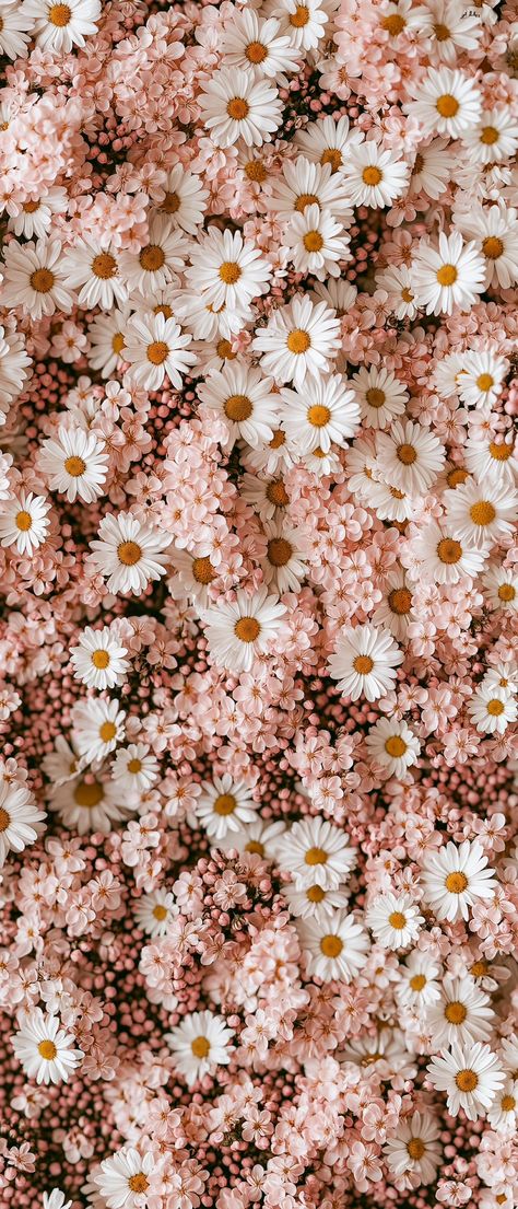 Pretty Floral Wallpaper, Pink Daisy Wallpaper Aesthetic, Vintage Daisy Aesthetic Wallpaper, Fuschia Pink Aesthetic, Pink Floral Wallpaper Iphone, Daisy Iphone Wallpaper, Daisy Wallpaper Iphone, Pink Phone Aesthetic, Daisy Wallpaper Aesthetic