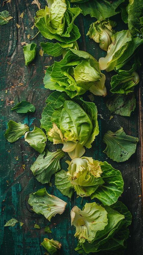 Fresh Green Lettuce: Assorted fresh lettuce leaves spread on a rustic wooden surface, evoking a feel of organic harvest. #lettuce #green #fresh #vegetables #organic #aiart #aiphoto #stockcake ⬇️ Download and 📝 Prompt 👉 https://ayr.app/l/hVNg Harvest Lettuce, Green Lettuce, Lettuce Leaves, Fresh Green, Fresh Vegetables, How To Take Photos, Lettuce, Free Photos, Jesus