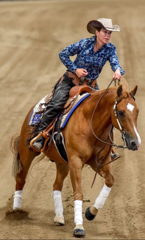 Reining Outfits, Gamora Marvel, Working Cow Horse, Ranch Riding, Western Pleasure Horses, Horse Reining, Cowboy Life, Cow Horse, Rodeo Girls