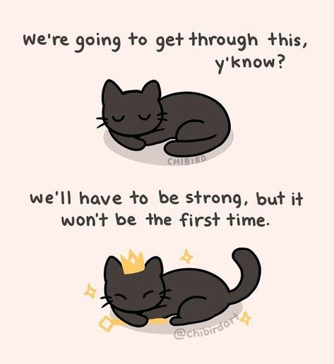 Official Chibird ⭐️ Jacqueline on Instagram: “And it won’t be the last time. Be strong, like this queen of a cat. 👑✨#inspirational #encouragement #bestrong” Cat Encouragement, Encouraging Animals, Chibird Quotes, Chi Bird, Inspirational Animal Quotes, Kawaii Quotes, Cute Motivational Quotes, Cheer Up Quotes, Cute Animal Quotes