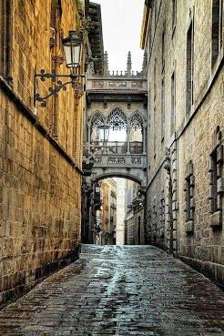 Cobblestone Street, Barcelona, Spain Sunny Street, Cobblestone Street, Inspiring Places, Medieval City, Catalonia Spain, Barcelona Catalonia, Street Lights, Spain And Portugal, Pearl Earring