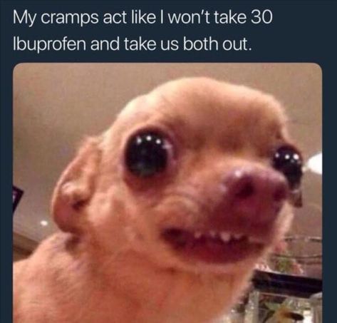 Cramps Meme, Period Cramps, Dog Photo, Period, Funny