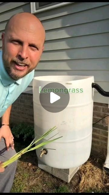 @biopro_solutions on Instagram: "Lemongrass will help to repel bugs from your water barrel. Helping to keep your water clean for a great season. 

Follow BioPro Solution for more tips." How To Keep Rain Barrel Water Clean, Rain Barrel Ideas, Gardening Inside, Rainwater Collection, Water Barrel, Bug Off, Water Collection, Diy Water, Rain Barrel