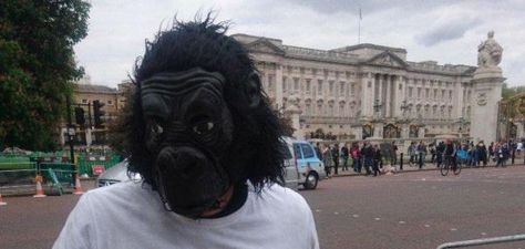 Gorilla Costume, Gorilla Costumes, Animal Charity, British Man, London Marathon, British Men, An Animal, The London, London