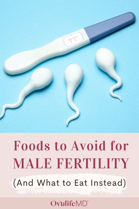 Male Fertility Foods, Male Fertility Boost, Sperm Count Increase, Natural Fertility Boosters, Boost Fertility Naturally, Testosterone Boosting Foods, Fertility Boosters, Sperm Health, Fertility Supplements