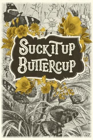 size: 24x16in Art Print: Suck It Up Buttercup : Travel Hipster Art, Posters For Sale, Art Print Display, Motivational Prints, Funny Posters, Mellow Yellow, All Poster, Posters And Prints, Quote Posters