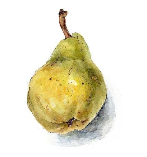 Fruit Art Drawings, Vegetable Painting, Pear Art, Art Coquillage, Watermelon Art, Watercolor Food, Watercolor Paintings For Beginners, Watercolor Fruit, Watercolor Lessons