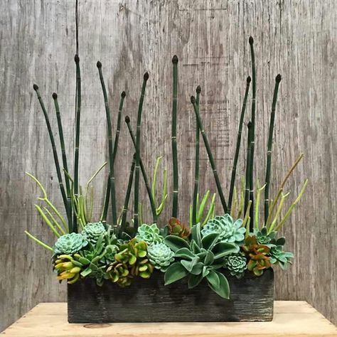 . Corporate Flower Arrangements, Spring Centerpieces, Corporate Flowers, Succulent Garden Diy, Garden Screening, Creative Flower Arrangements, Pot Flower, Cactus Pot, Succulents Indoor