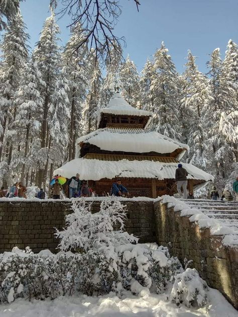 Hadimba temple in Manali with heavy snow ❄️❄️ Manali In Winter, Hadimba Temple Manali, Manali Photoshoot, Dark Forest Aesthetic, Forest Aesthetic, Graphic Design Tutorials Learning, Heavy Snow, Life Quotes Pictures