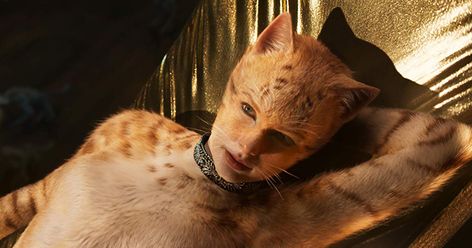 Megan Fox Movies, Taylor Swift Movie, Cats 2019, Taylor Swift Cat, Jellicle Cats, Cat Movie, Cat Crying, Victoria Song, Cats Musical