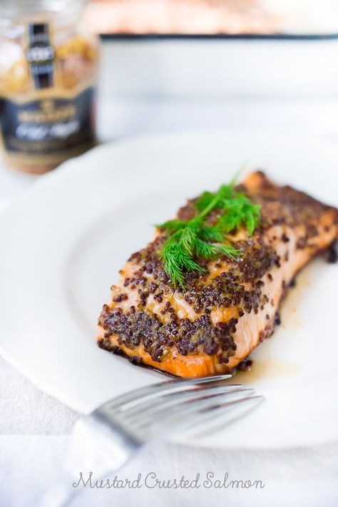 3 Ingredient Mustard Crusted Salmon- make in 15 mins! |www.feastingathome.com Mustard Crusted Salmon, Paleo Salmon Recipe, Encrusted Salmon, Healthy Seafood Dinners, Salmon Healthy, Best Salmon Recipe, Feasting At Home, Salmon Glaze Recipes, Mustard Salmon