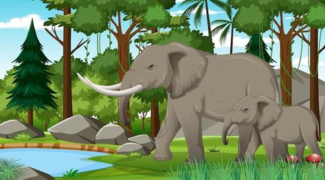 Free vector elephant mom and baby in for... | Free Vector #Freepik #freevector #mammals #zoo-background #zoo-animals #zoo Jungle Video, Baby Elephant Cartoon, Forest Animals Illustration, Elephant Zoo, Zoo Park, Mandrill, Jungle Adventure, In The Zoo, Sunset Background