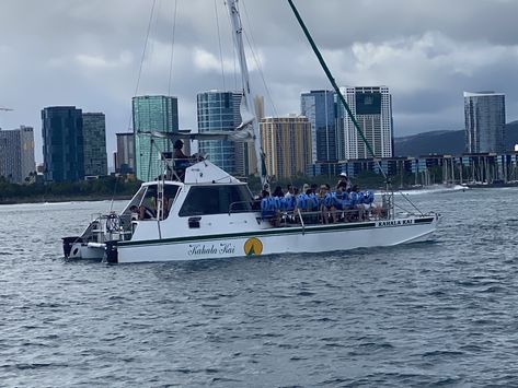 Snorkeling Tour, Visit Turtle Canyon Waikiki - Oahu Catamarans Best Snorkeling, Green Sea Turtle, Hawaii Trip, Charter Boat, Crystal Clear Water, Hawaii Travel, Catamaran, Big Island, Honolulu